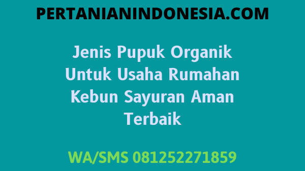 Jenis Pupuk Organik Untuk Usaha Rumahan Kebun Sayuran Aman Terbaik